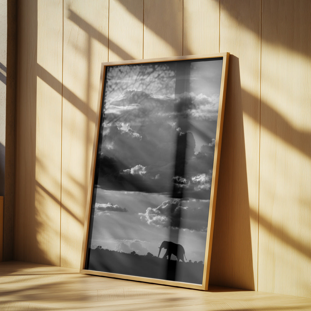 Han vandrar under en afrikansk himmel | Poster