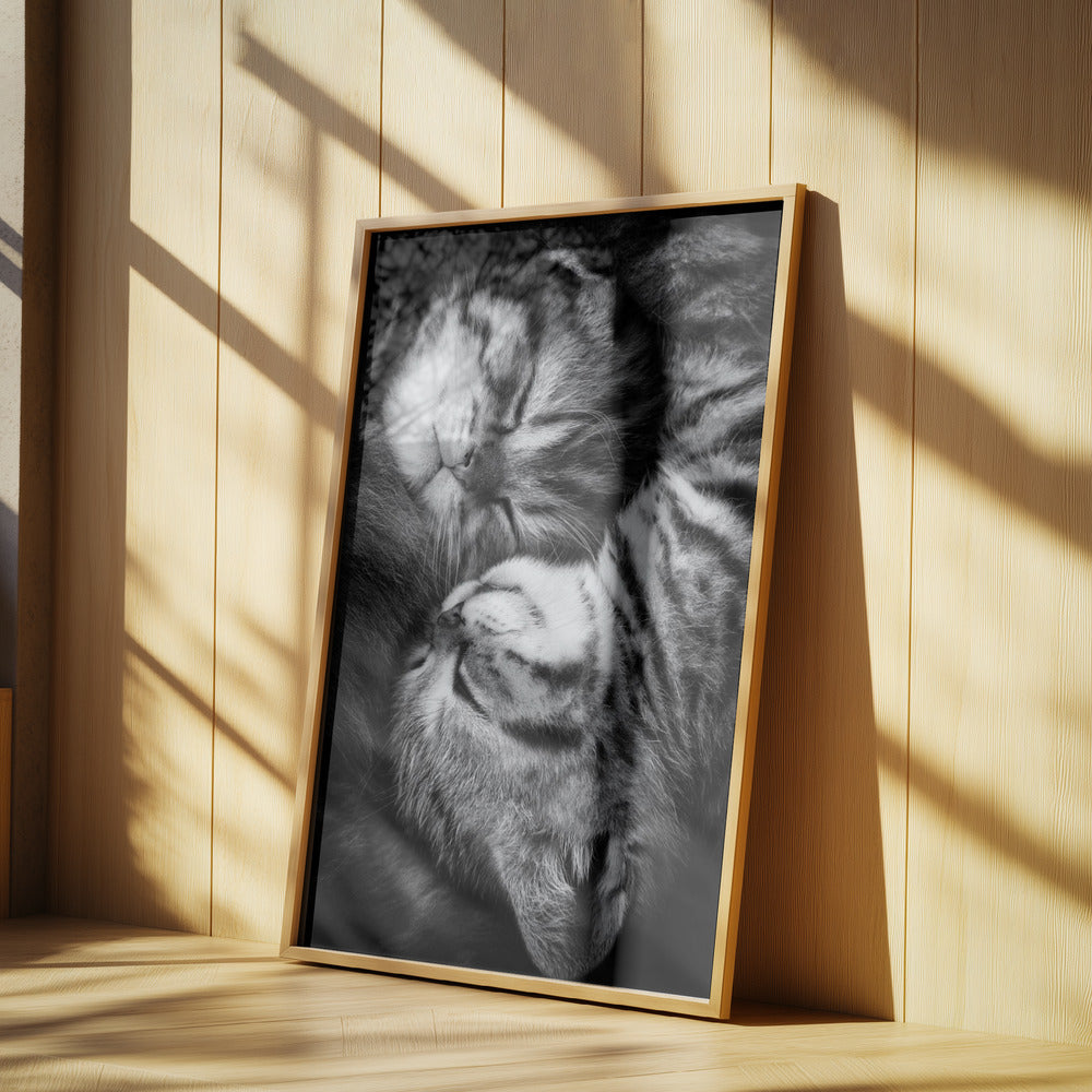 Yin och Yang | Poster