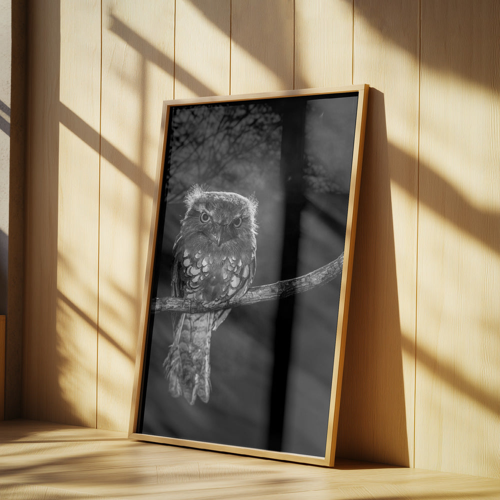 Ensam i natten | Poster