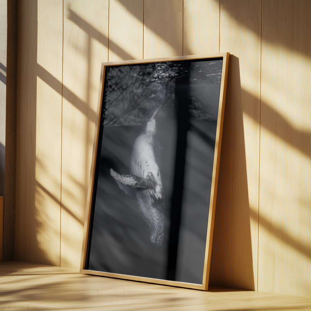 Svart val | Poster