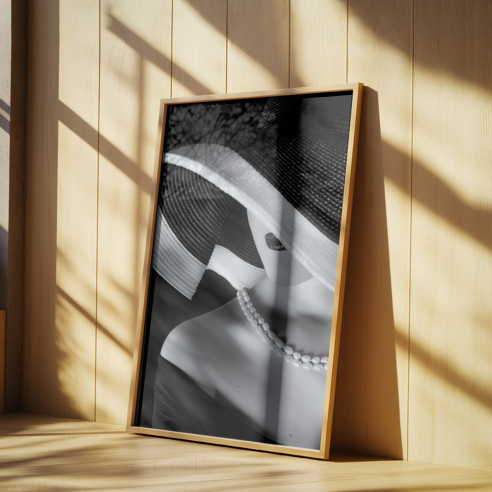 Elegans i skuggan | Poster