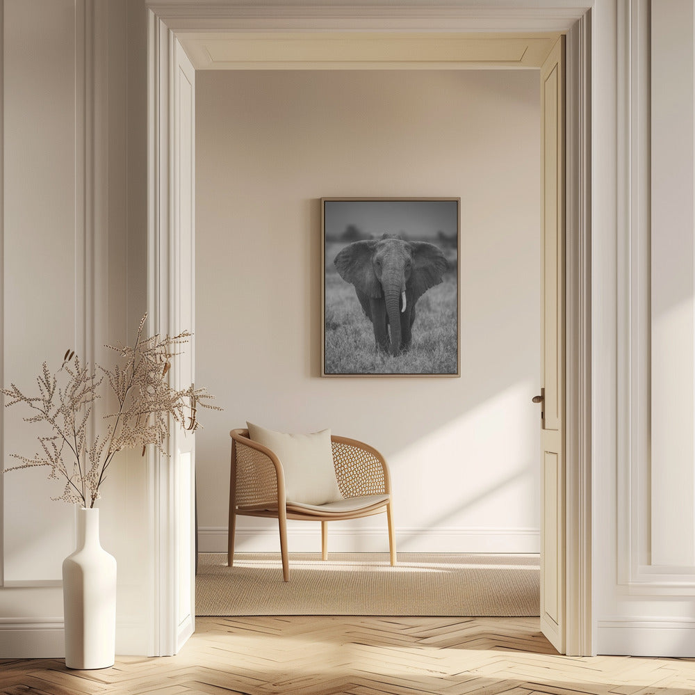 SINGULARITET | Poster