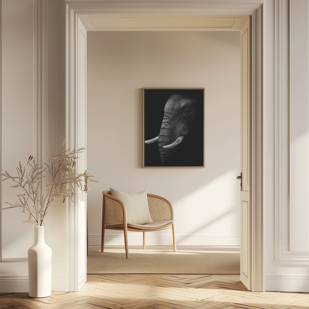 Porträtt | Poster