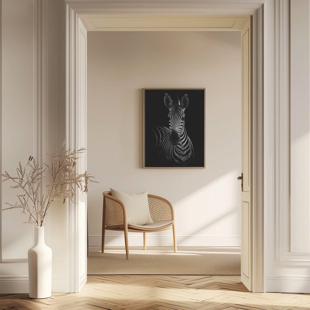 Zebran | Poster