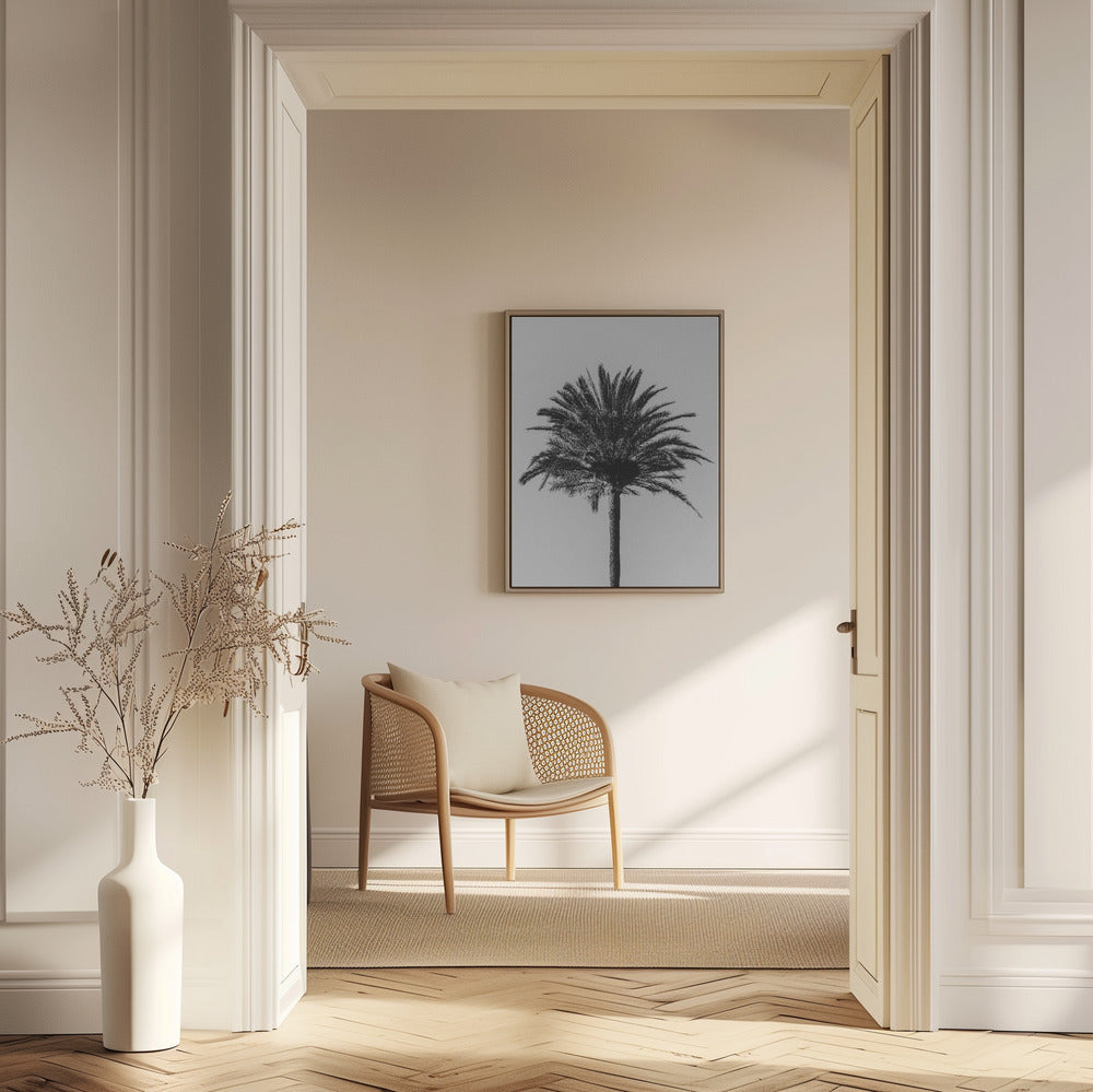Palm_003 | Poster