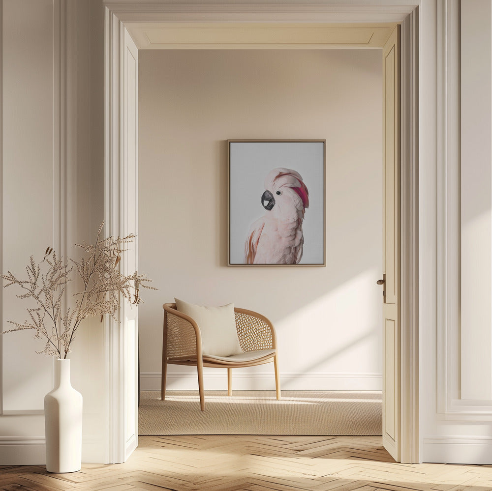 Pink Cockatoo | Poster