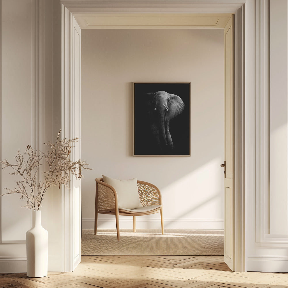 Elefant! | Poster