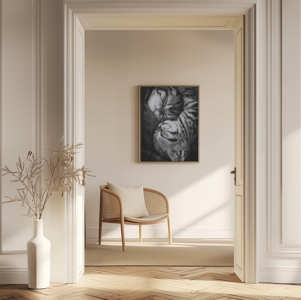Yin och Yang | Poster