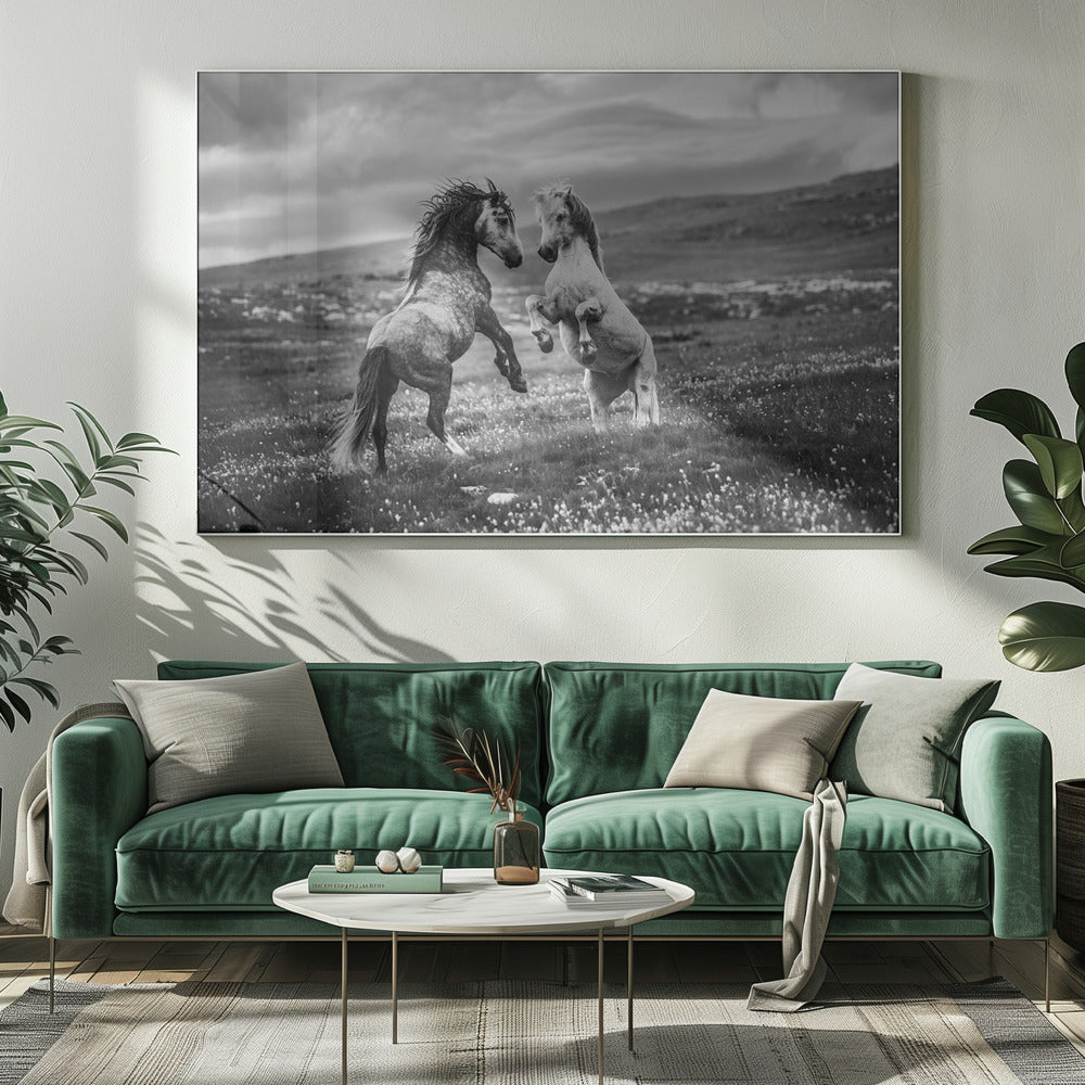 Vild och fri | Canvas