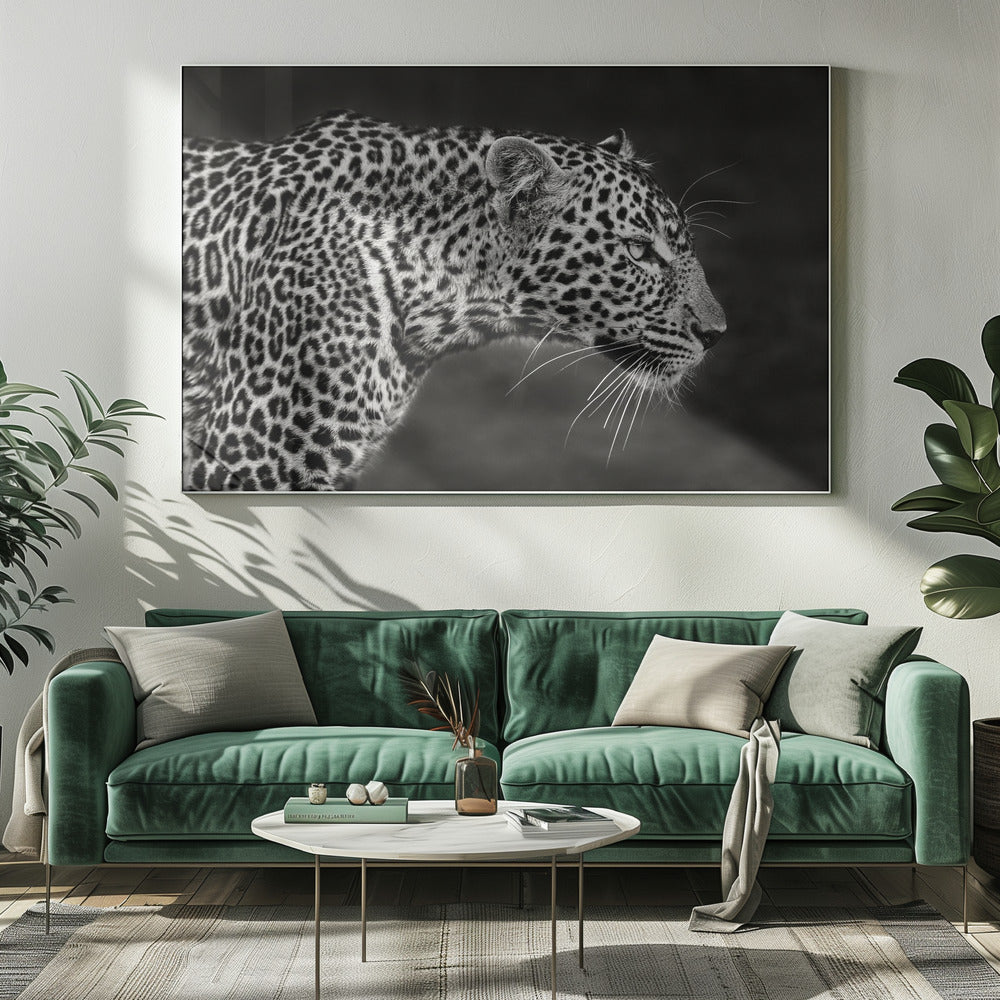 Leopard närbild | Canvas