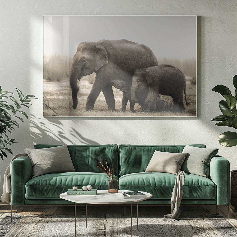 familjeporträtt | Canvas