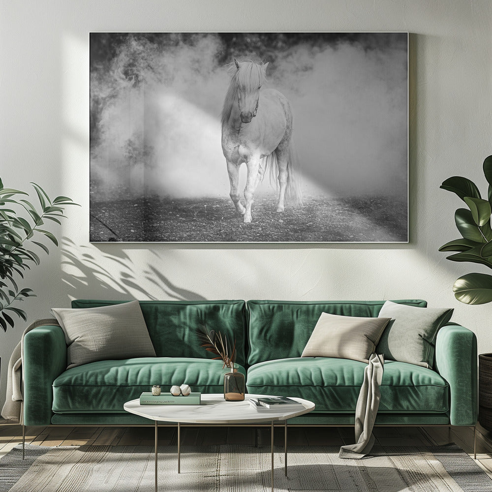 Islandsponny | Canvas
