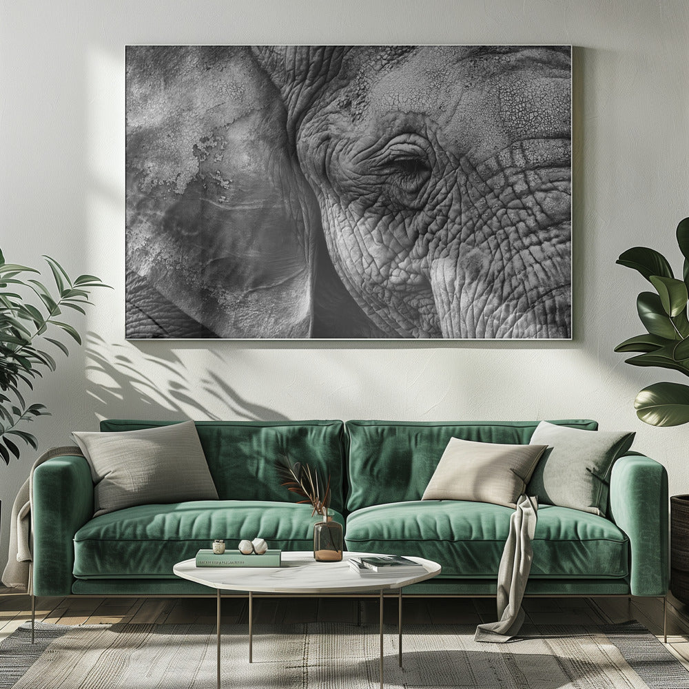 Elefantskinn | Canvas