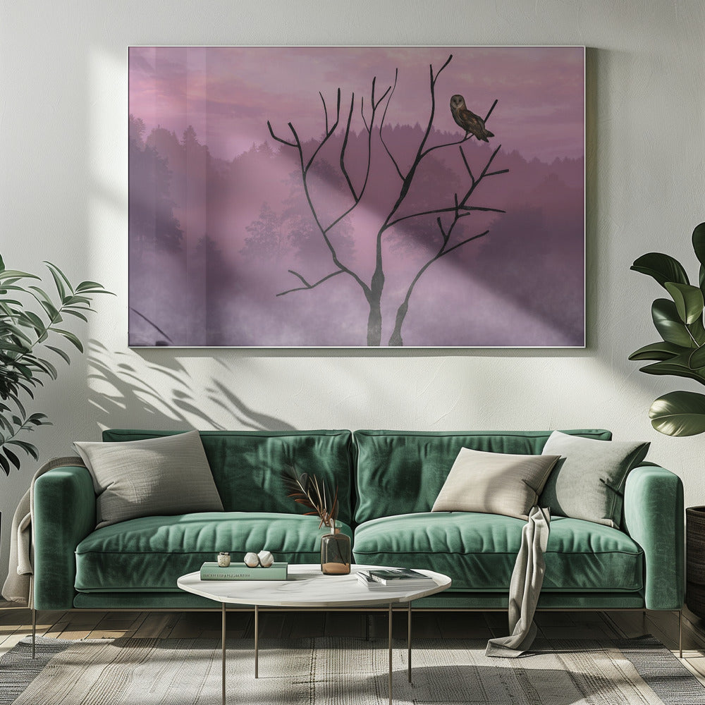 Rosa himmel på morgonen | Canvas