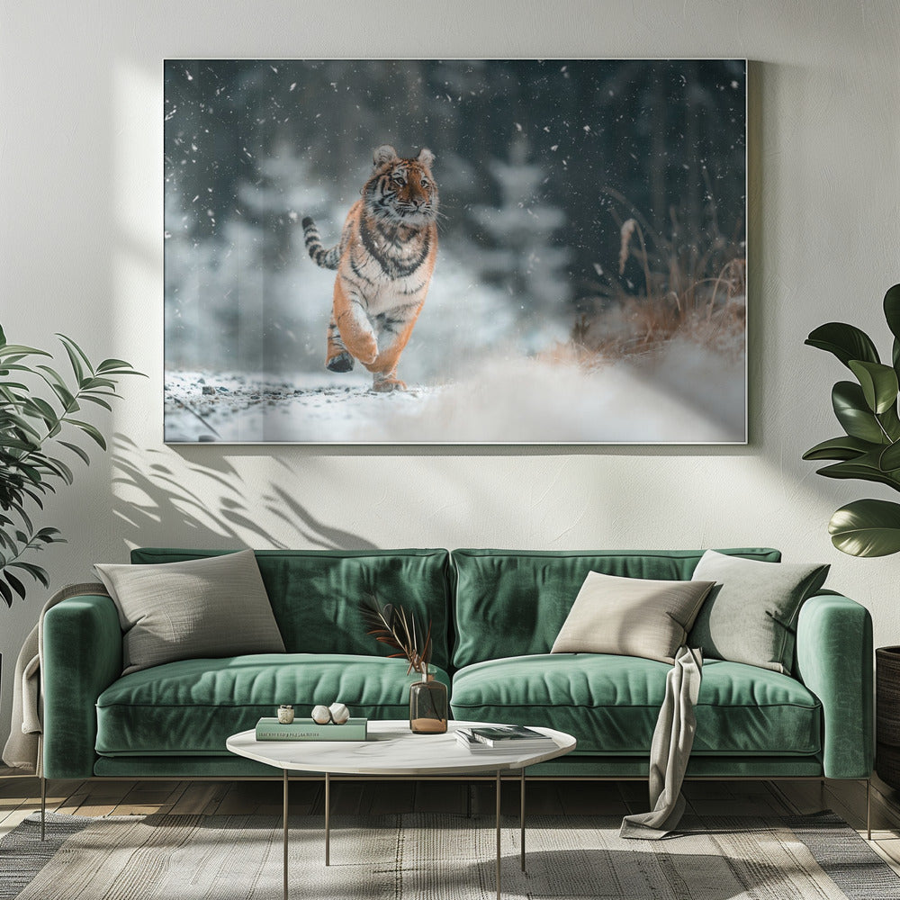 Den sibiriska tigern | Canvas