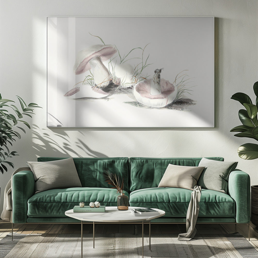 Handritad fältsvamp | Canvas