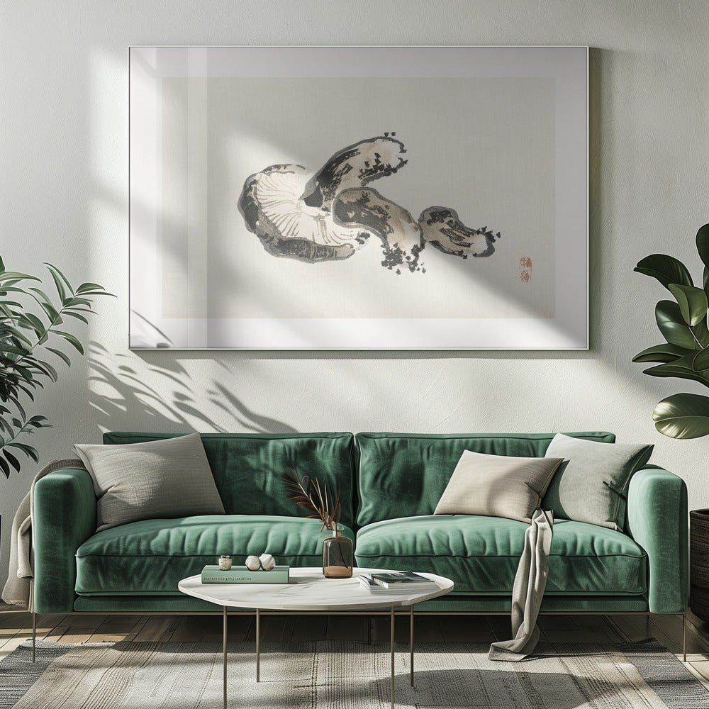 Shitakesvamp | Canvas