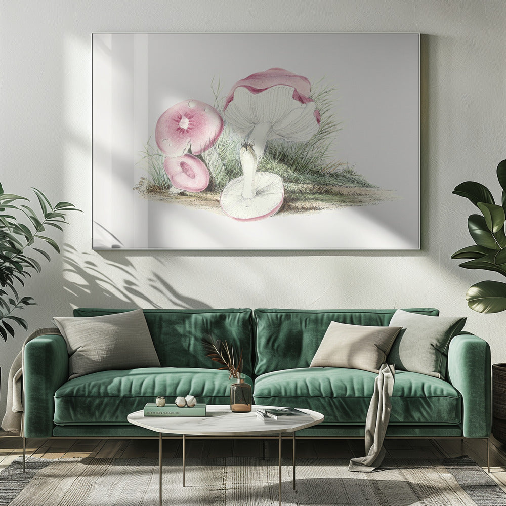 Vintage Russula Emetica-svamp | Canvas