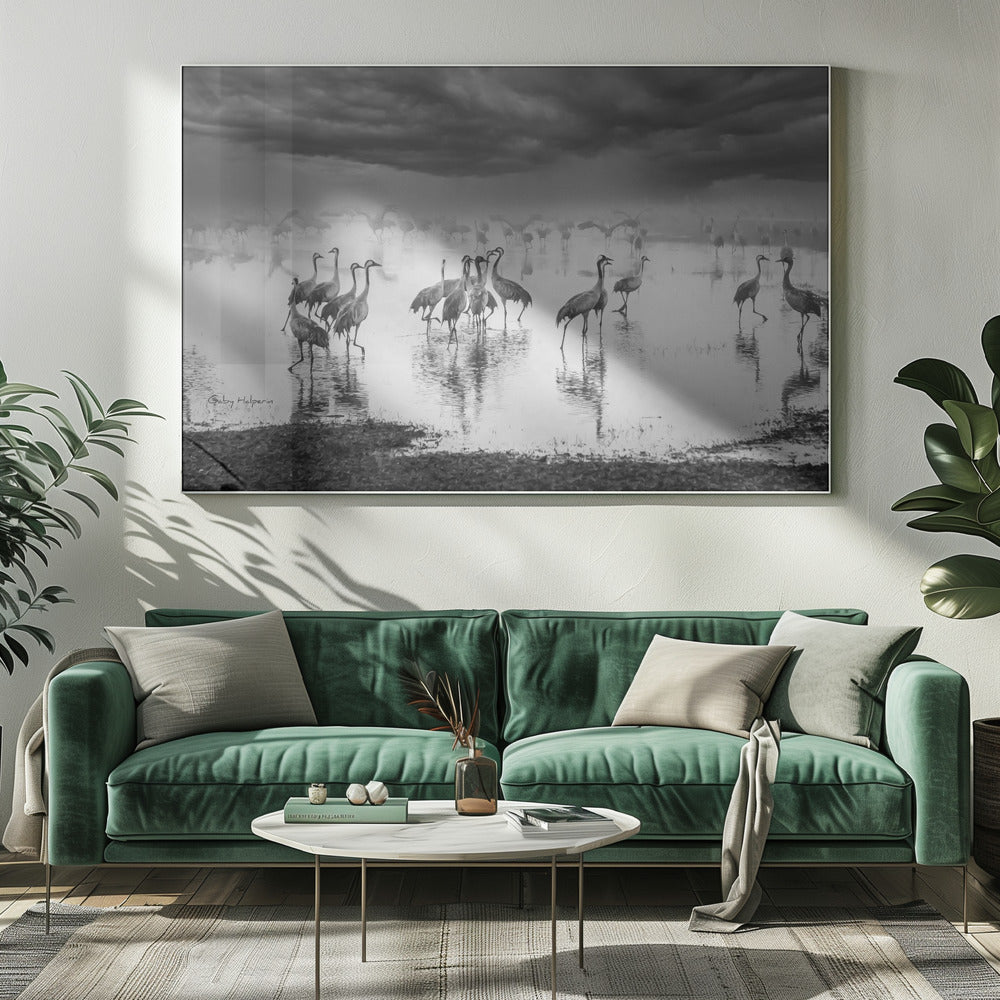 Soluppgång på sjön | Canvas