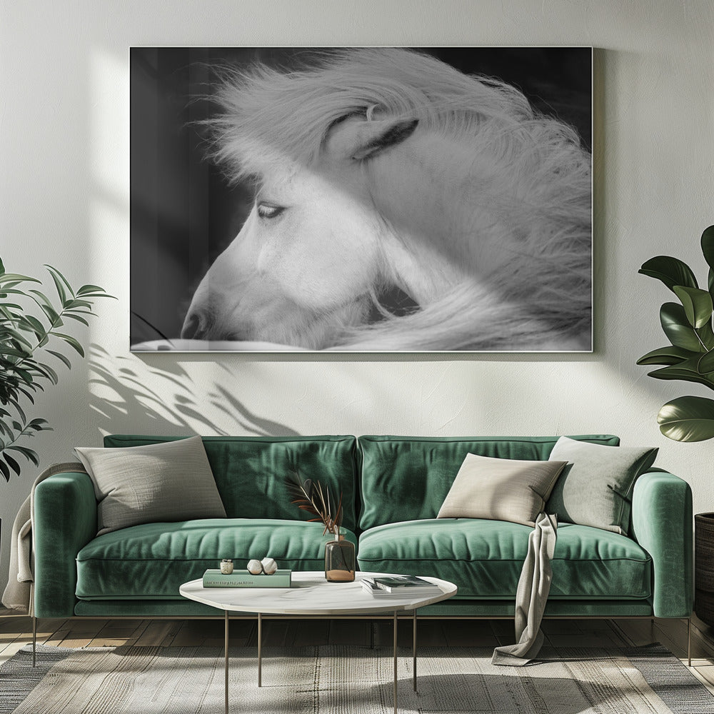 Lyssna på vinden | Canvas