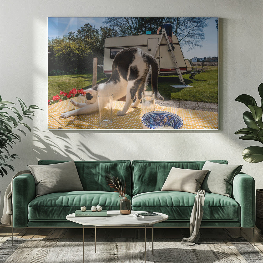 Simulera poser... | Canvas