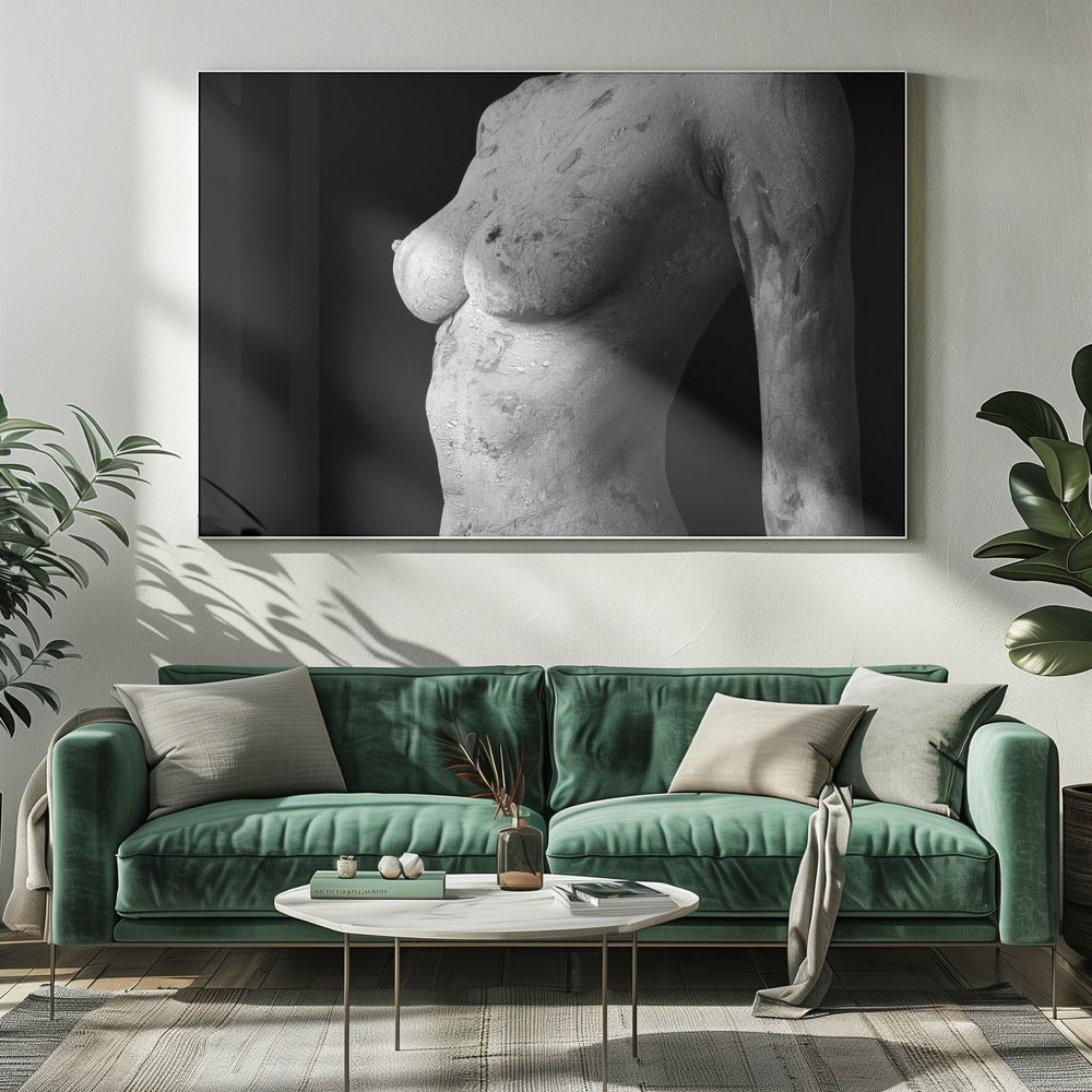 Aberrant Beauty | Canvas