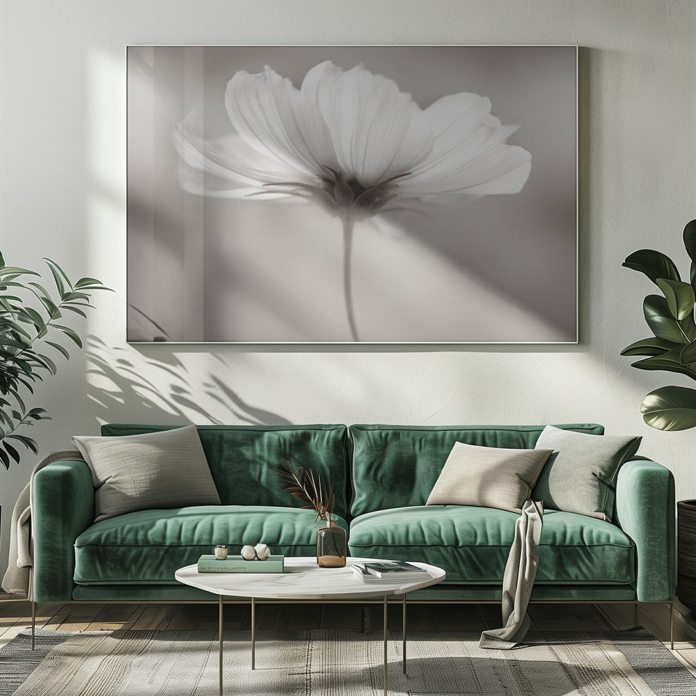 Kosmos | Canvas