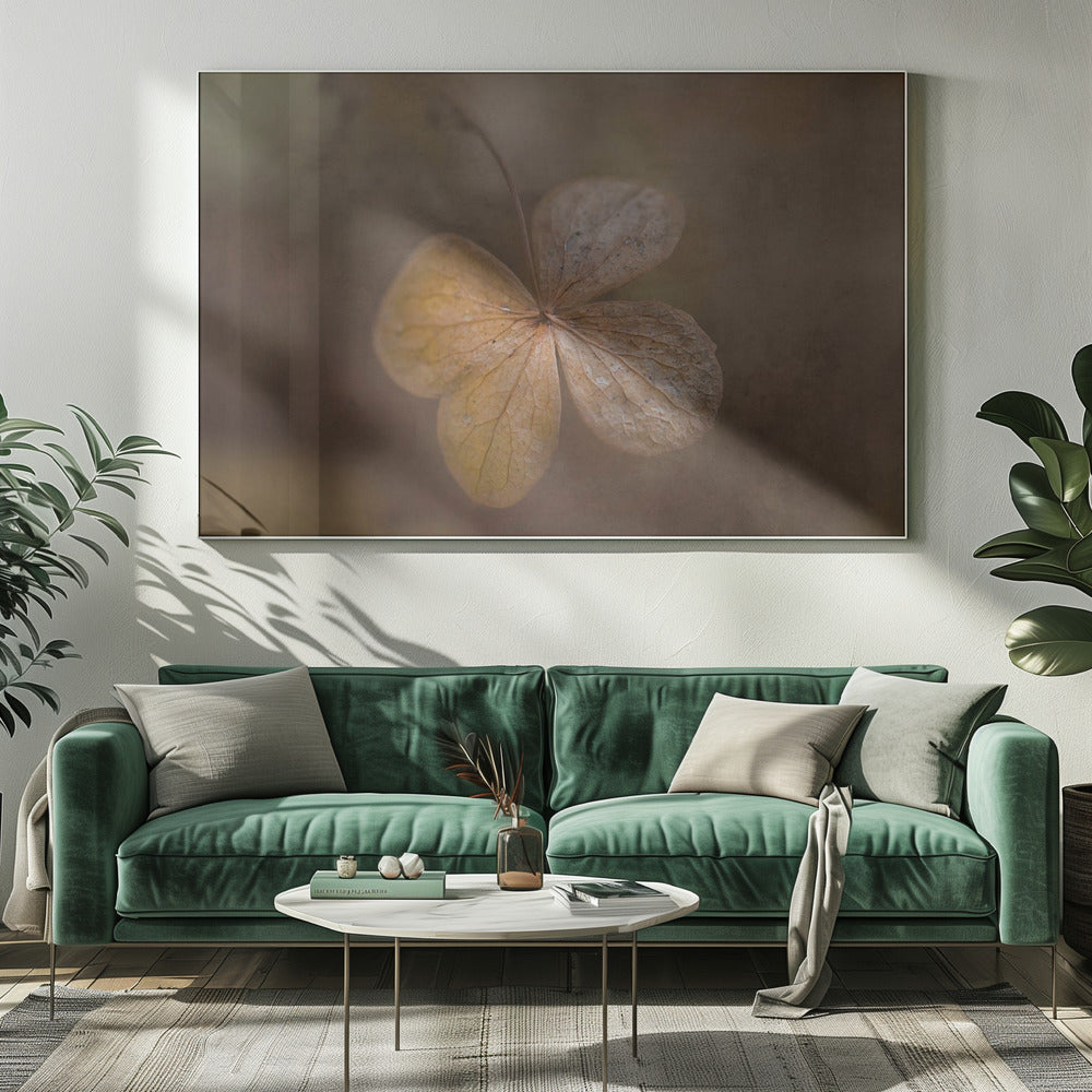 dagens rester | Canvas
