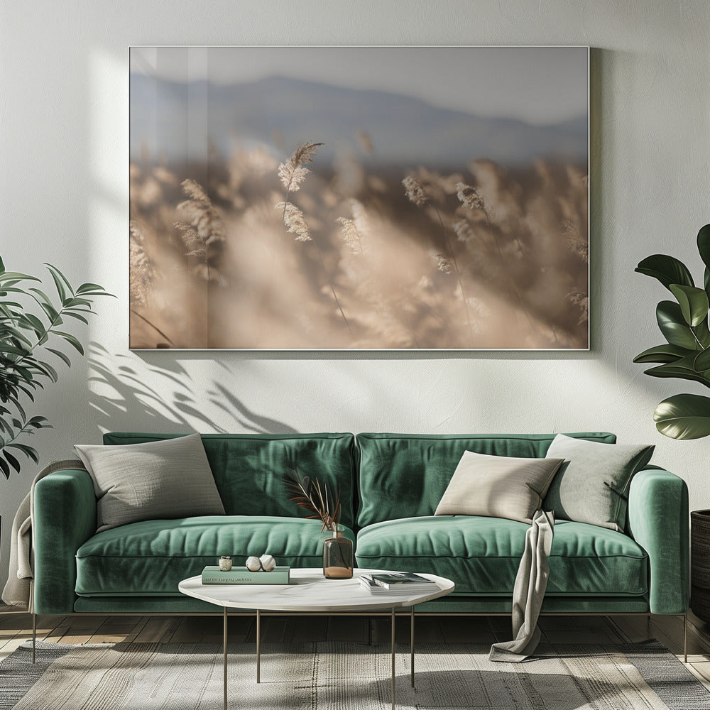 Kärrgräs nr 11 | Canvas