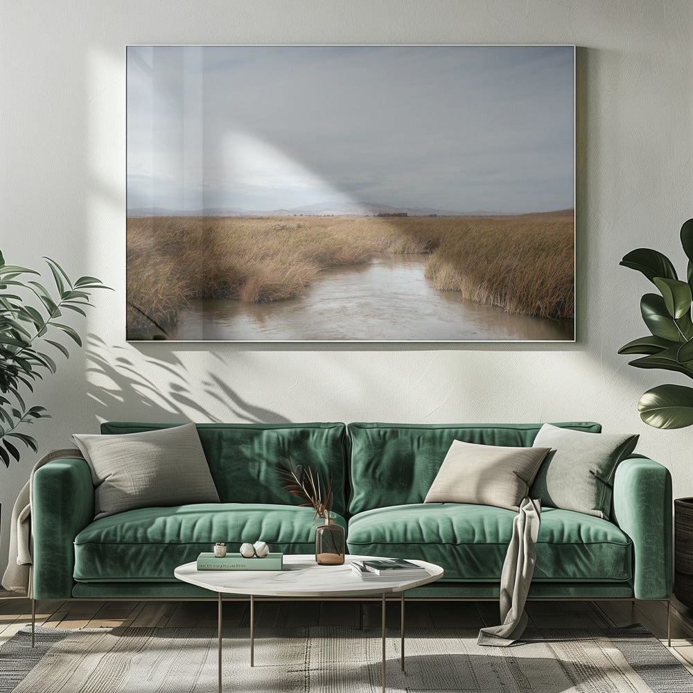 Myrmark nr 1 | Canvas