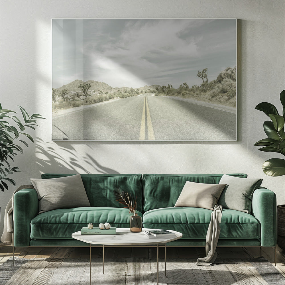 Vintage Joshua Trees, Park Boulevard | Canvas