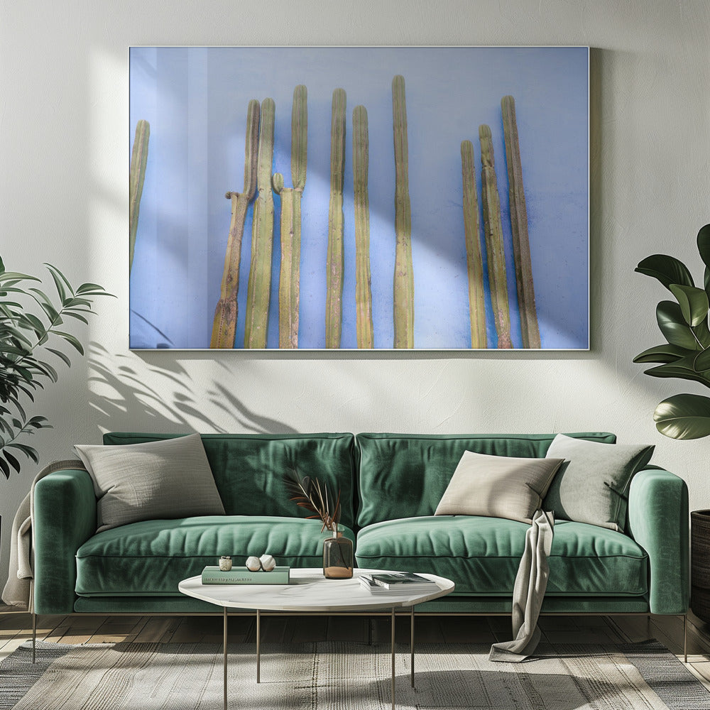 Höga kaktusar på blått | Resor till Oaxaca, Mexiko | Canvas