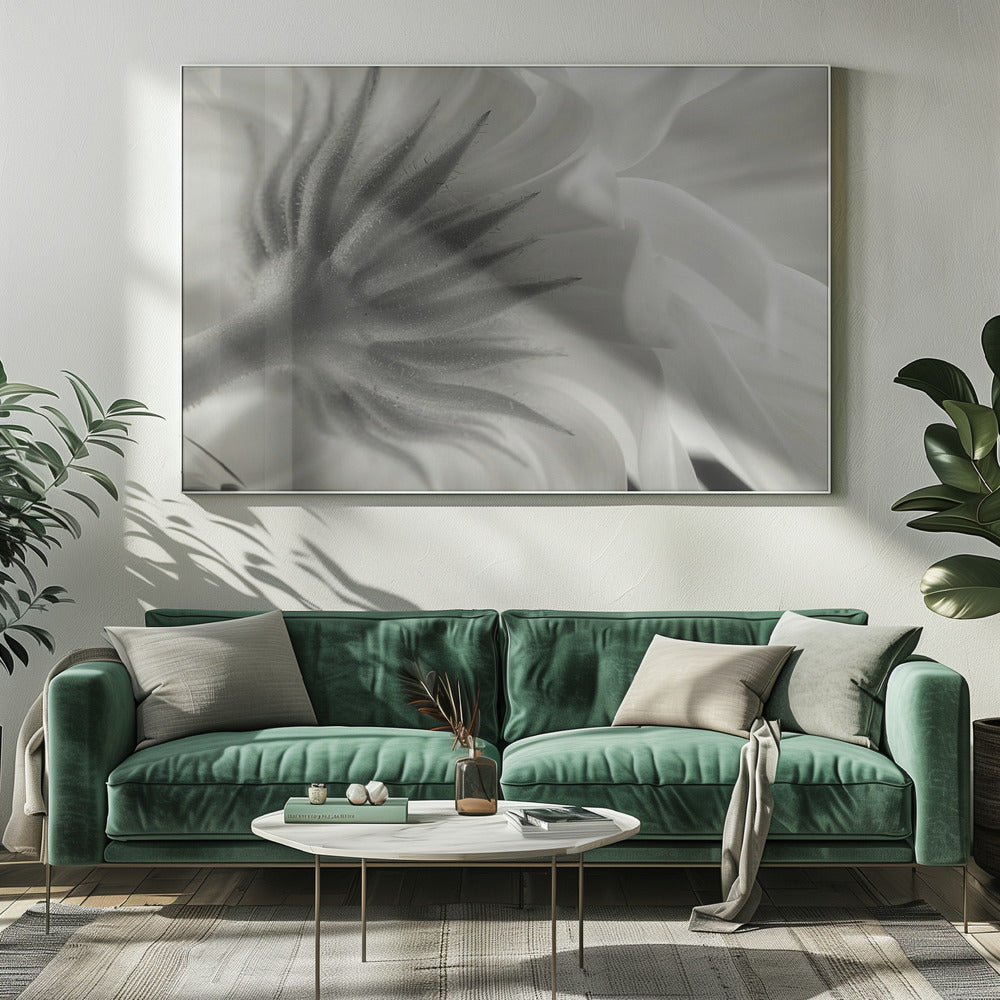 Ringelblume | Leinwand-Bilder
