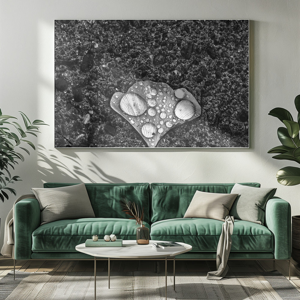 Tau | Leinwand-Bilder