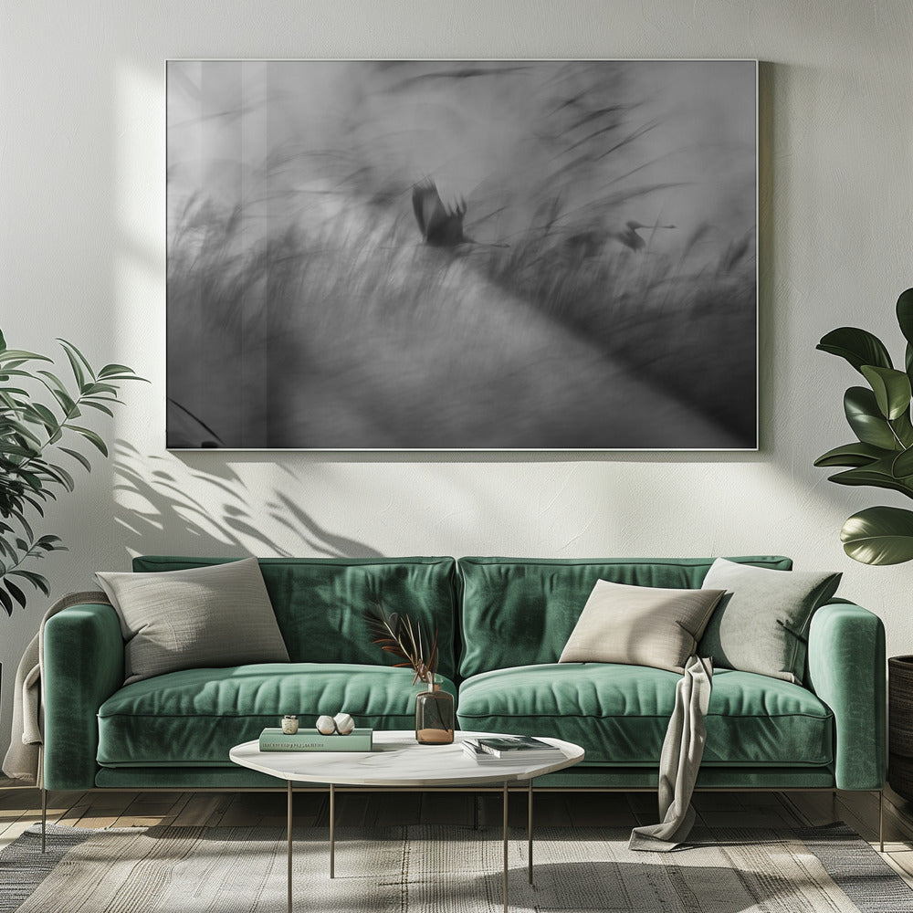 Aus heiterem Himmel | Leinwand-Bilder