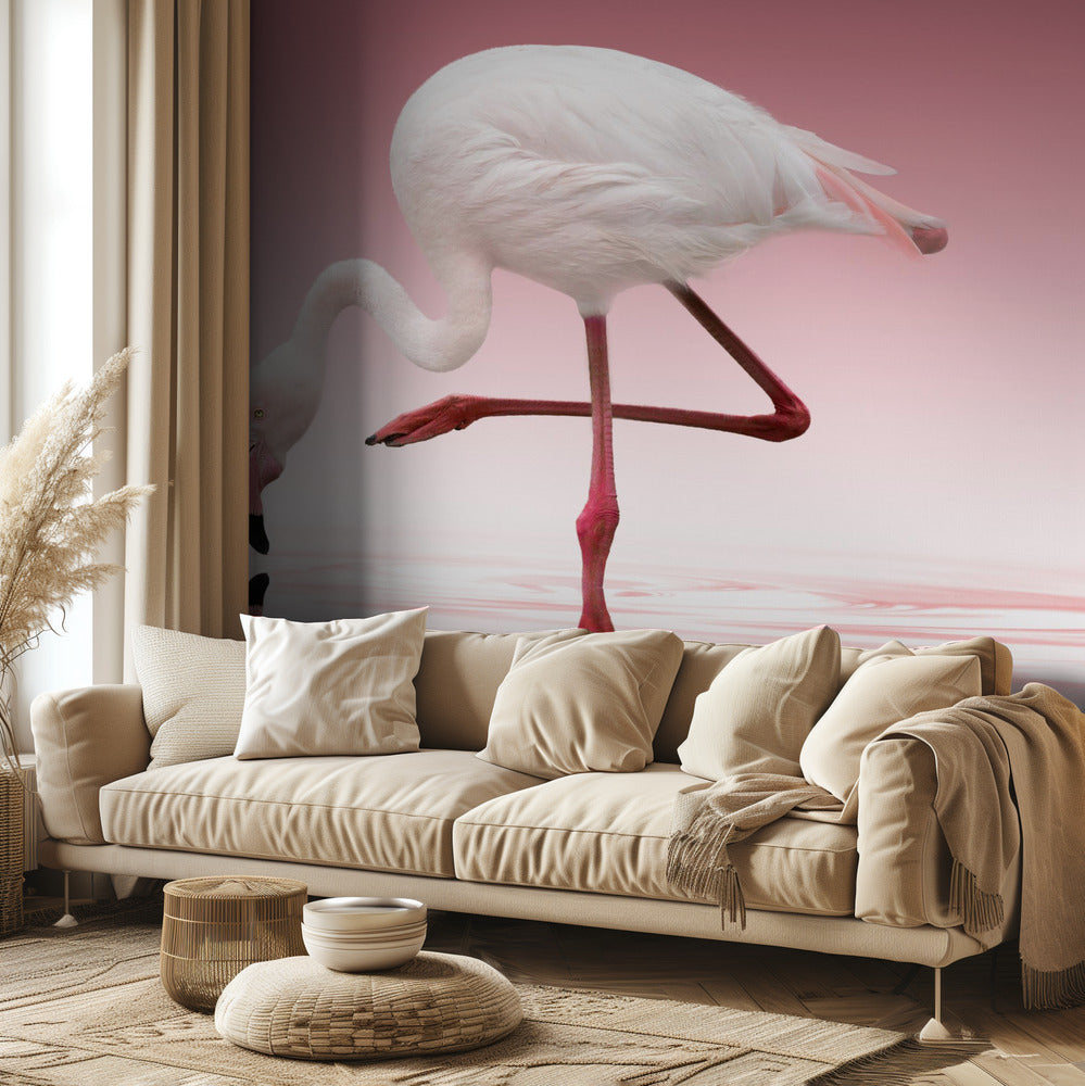 Flamingo | Tapeter