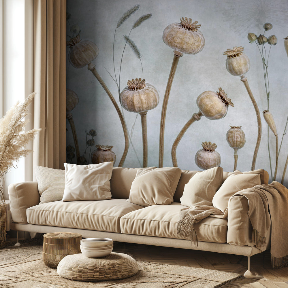 Papaver | Tapet