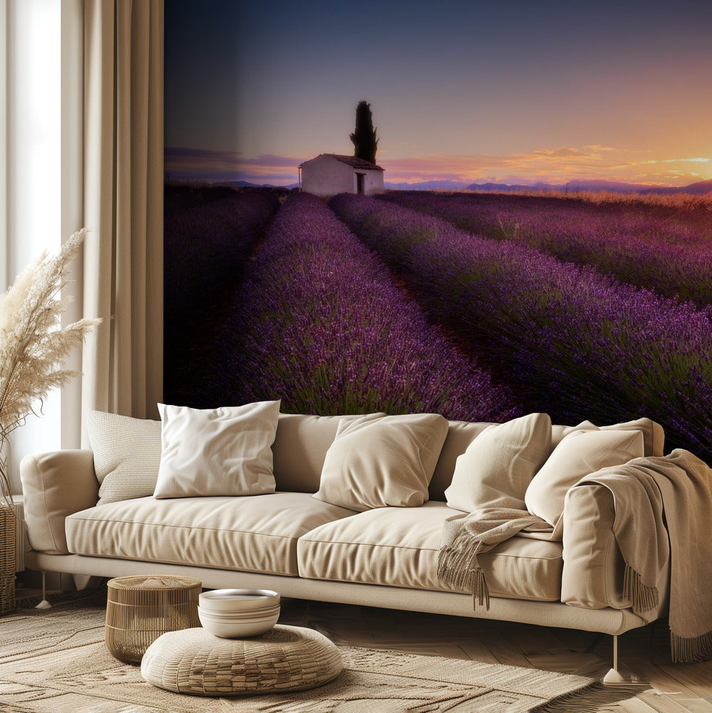 Provence Lavendel | Tapet