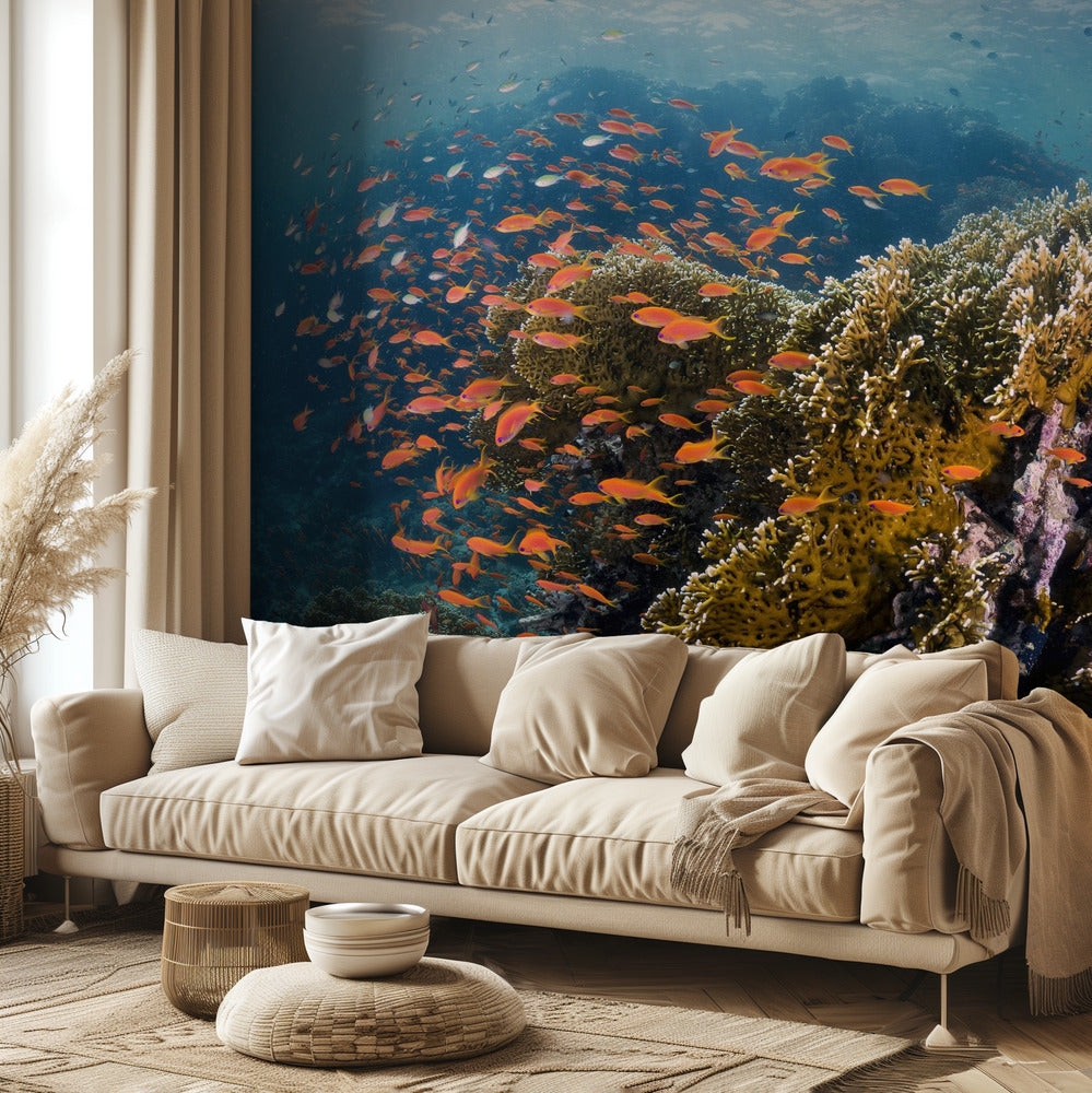 Reefscape | Tapeter