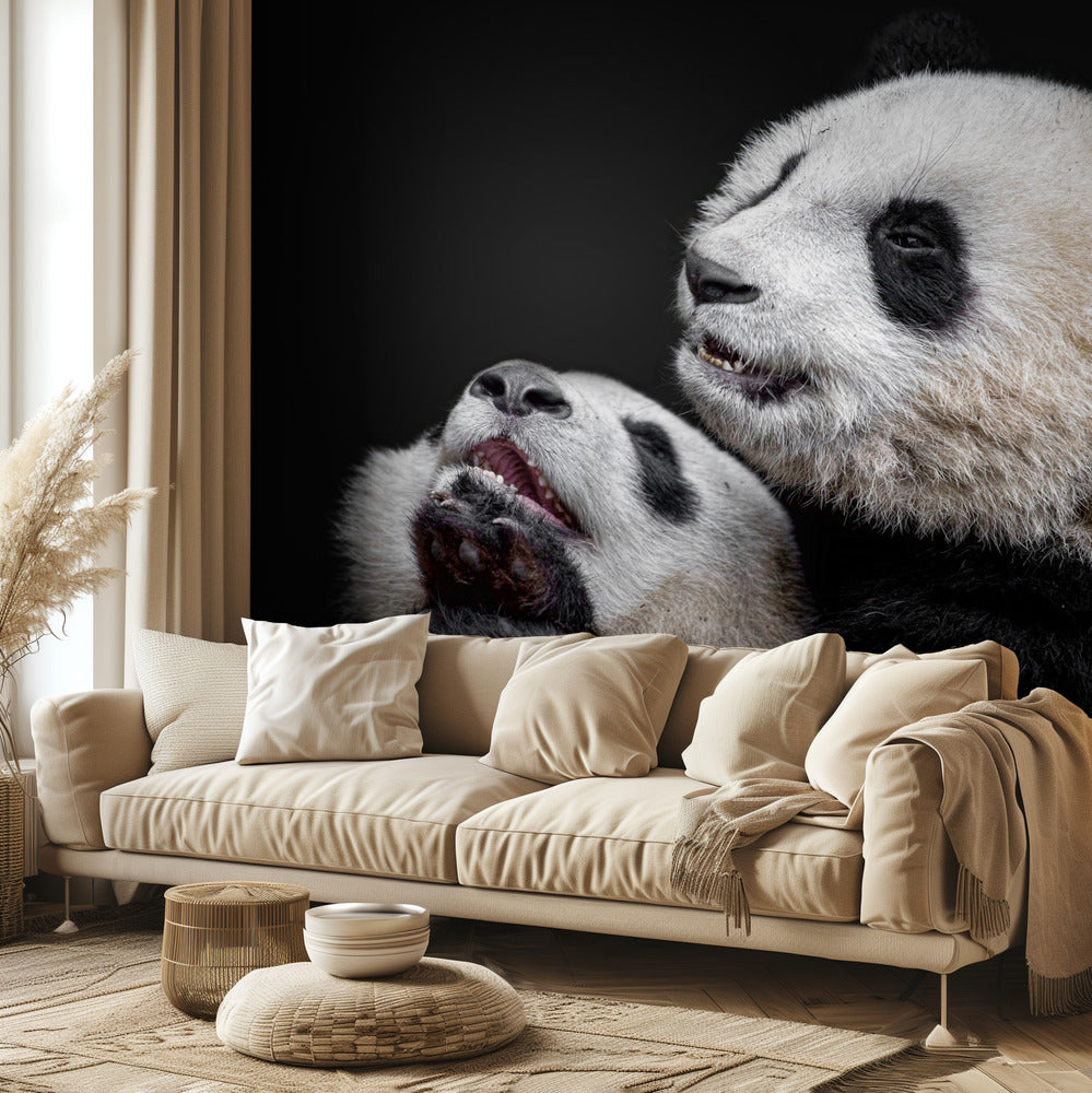 Pandor | Tapeter