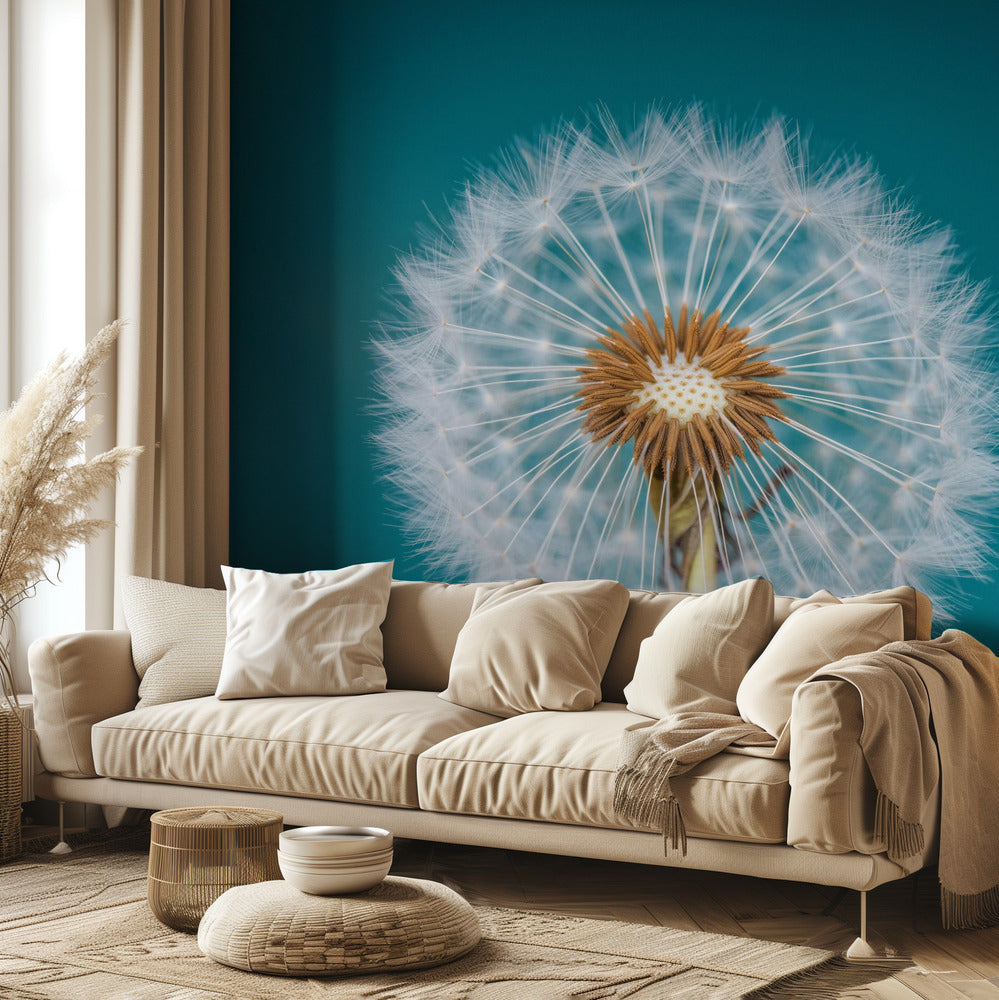 Dandelion | Wallpaper