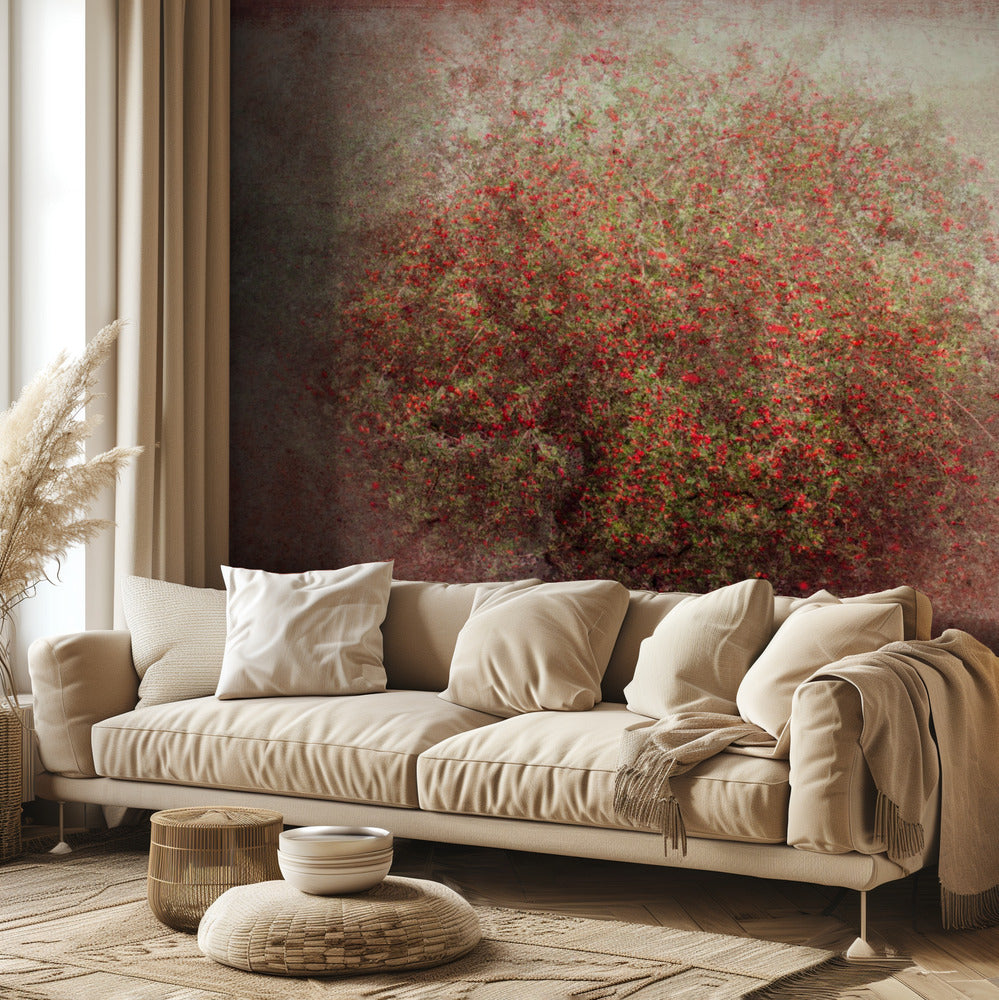 Apple tree | Wallpaper