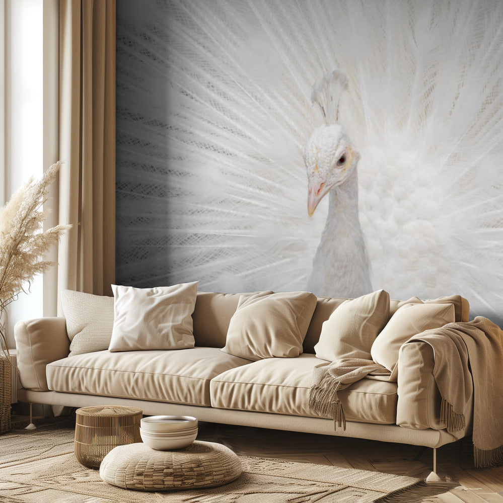 Splendid White | Tapet