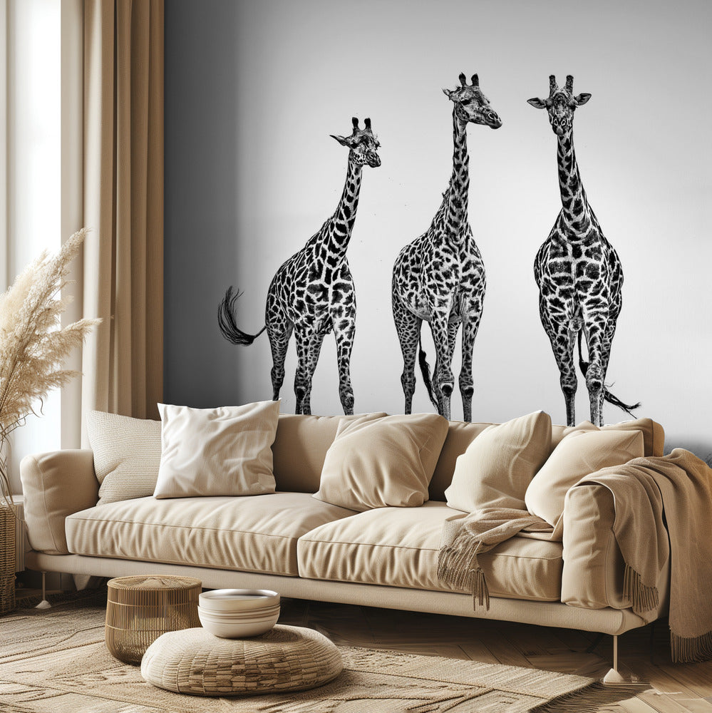 Giraffer på Maraslätter | Tapeter