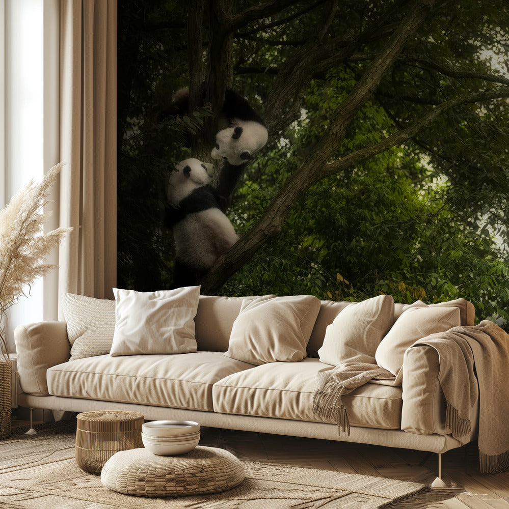 Panda | Tapeter