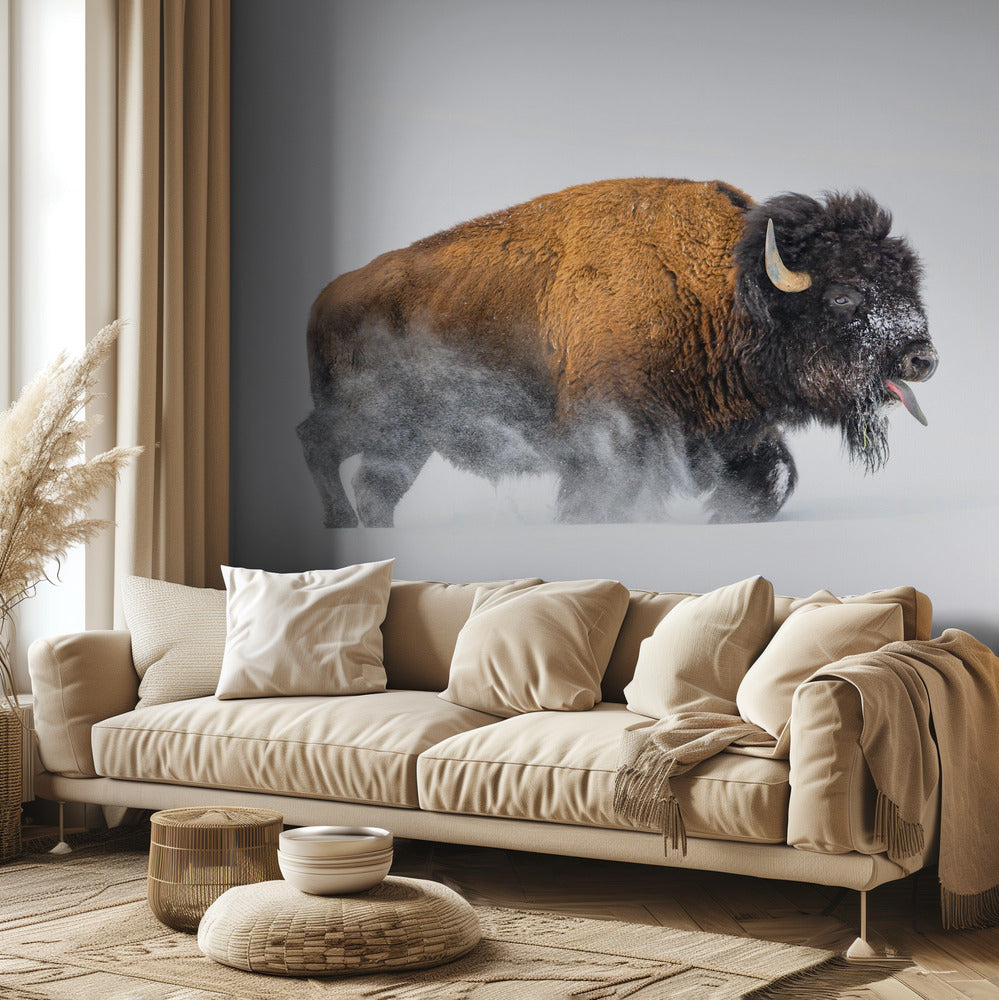 Bison i snön | Tapet