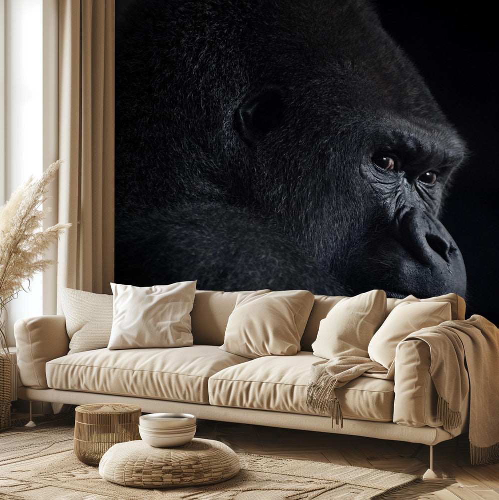 gorilla blick | Tapet