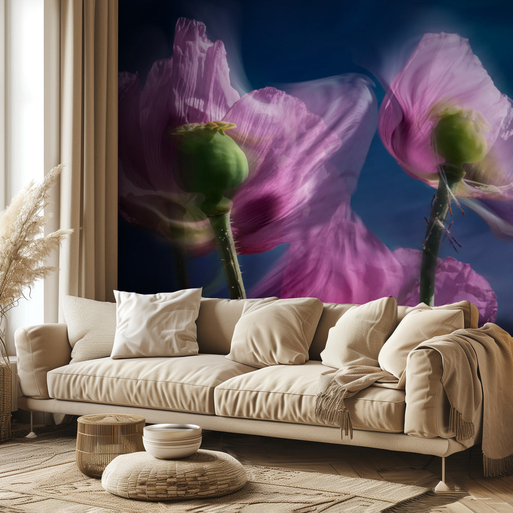 Poppies by the wayside | Wallpaper