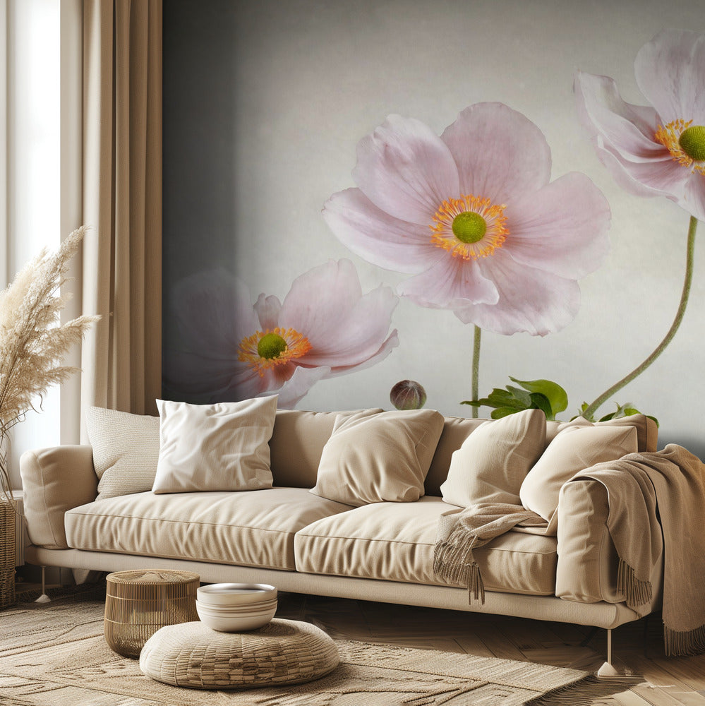 Anemoner | Tapeter