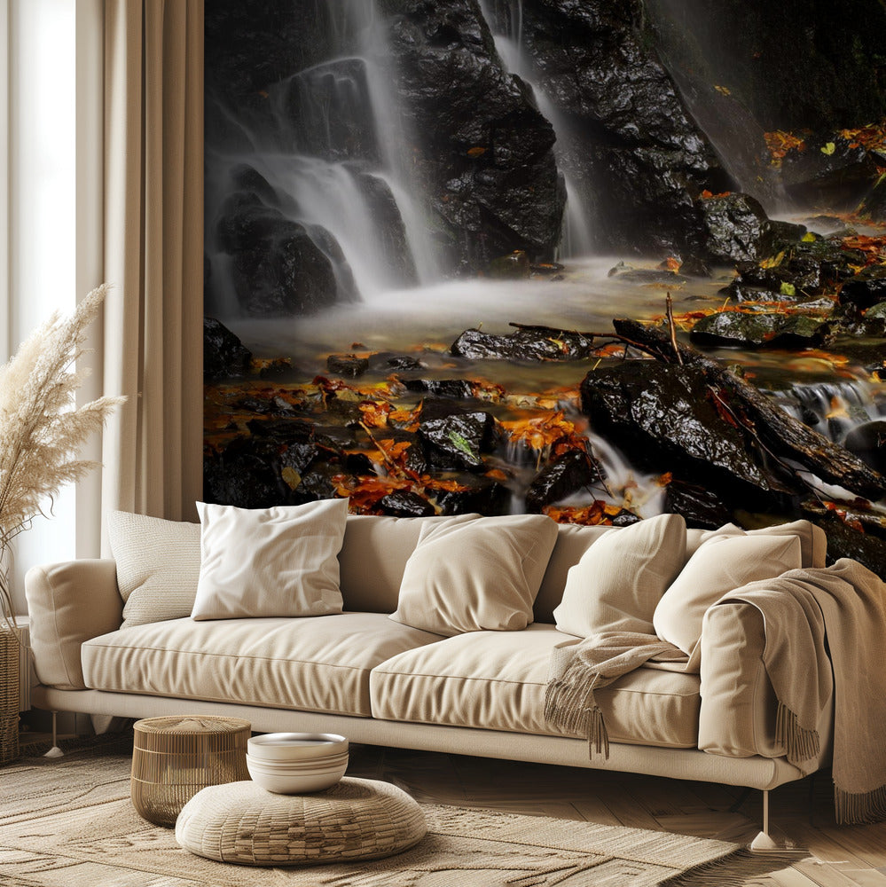 Brillante Papel Pintado Fotográfico